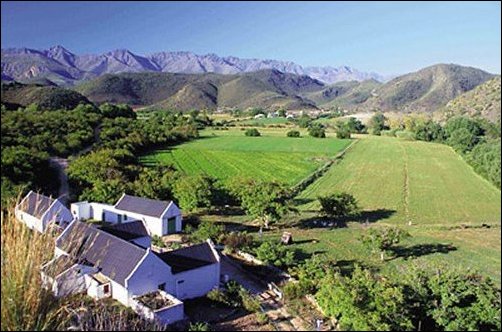 3 Day 2 Night Garden Route Tours - Departing from Cape Town to Port Elizabeth.
